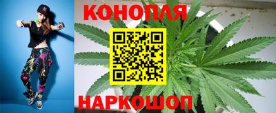 a pvp Краснознаменск