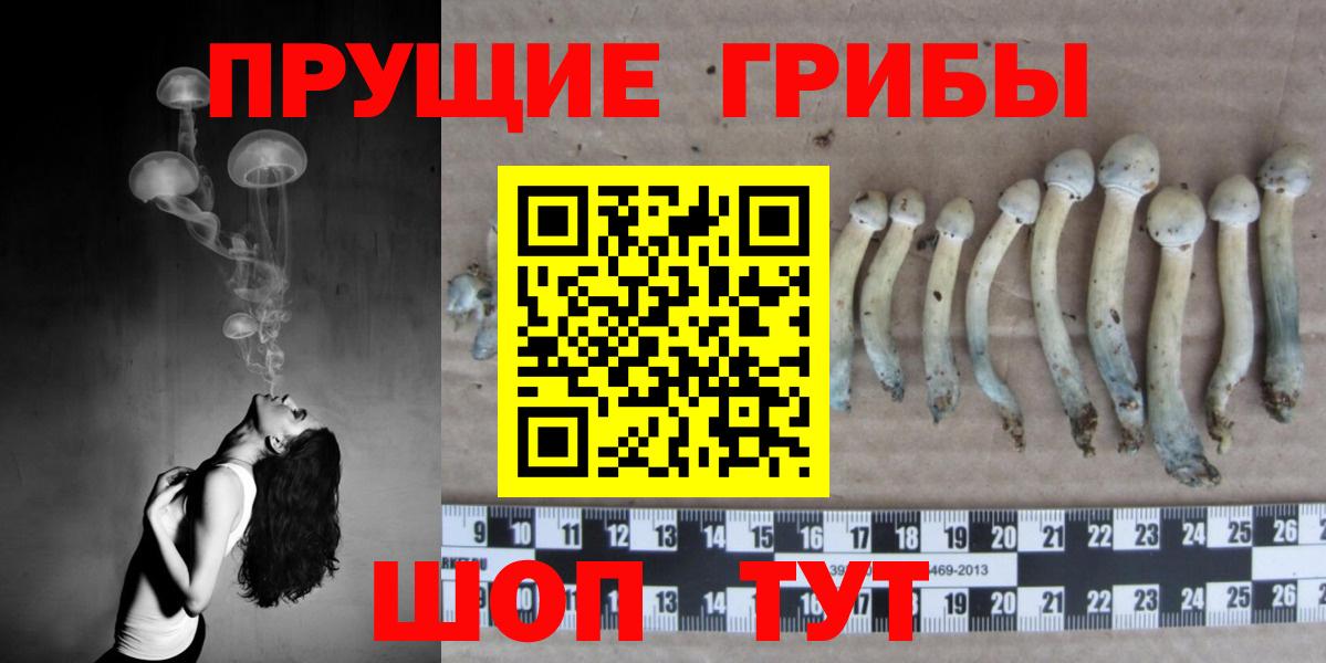 Конаково  Галлюциногенные грибы ЛСД  Галлюциногенные грибы Psilocybe  Вход с VPN 